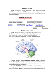 O Sistema Nervoso