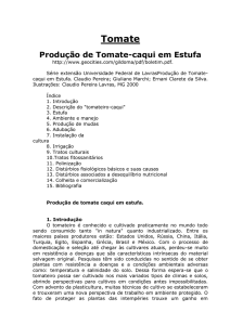 Apostila Tomate Estufa