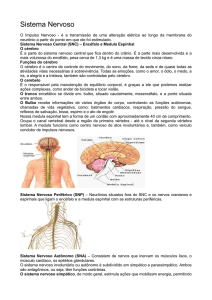 9 – Sistema Nervoso