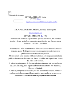 ACTAEA SPICATA L - Carlos Melo - gilbertorv