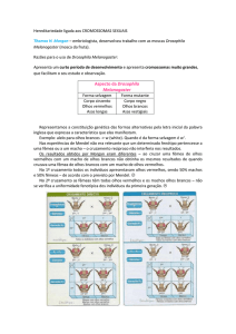 Hereditariedade ligada aos CROMOSSOMAS SEXUAIS Thomas H