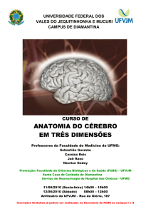 Cartaz curso anatomia cérebro 2010