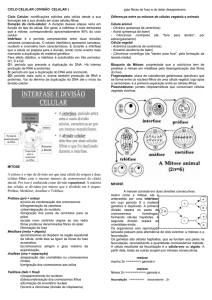 CICLO CELULAR ( DIVISÃO CELULAR ) Ciclo Celular