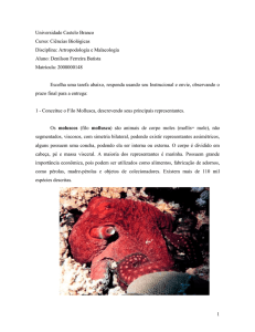 artropodologia_22356 - Universidade Castelo Branco