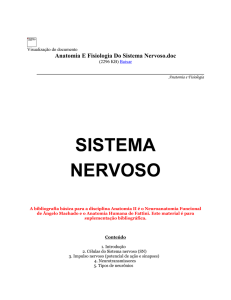 Anatomia E Fisiologia Do Sistema Nervoso