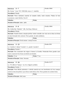 Lista de identificação das plantas do Prof. Víctor Hugo