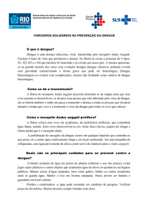O que é dengue