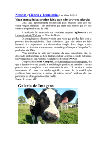 01 de Março de 2014 Vaca transgênica produz leite que não
