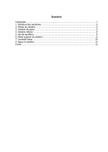 2. Partes do c&eacute;rebro