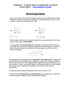 Aminoácidos - Vestibular1