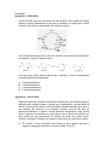 Funções orgânicas oxigenadas