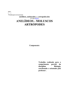 anelideos_molusculos_e_artropodes