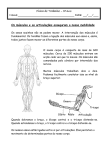 Os músculos e as articulações asseguram a nossa mobilidade Os