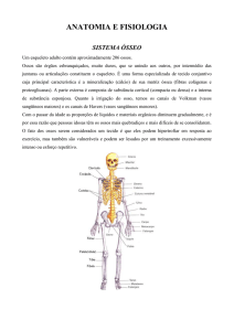 Anatomia - Prakriti Yoga