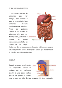 o teu sistema digestivo