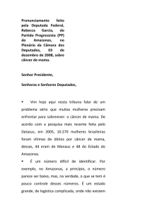 Pronunciamento feito pela Deputada Federal, Rebecca Garcia, do