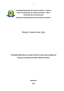 1.2 Lesão por Inalação de Fumaça