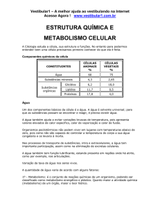 Estrutura Química