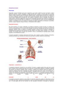 Metabolismo Celular Respiração Respiração, processo fisiológico