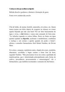 Conhe&ccedil;a os ch&aacute;s que auxiliam na digest&atilde;o Bebida dissolve