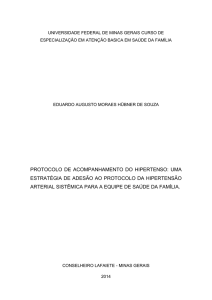 UNIVERSIDADE FEDERAL DE MINAS GERAIS CURSO DE