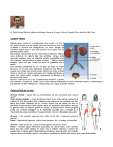 Dr. Paulo Ayrosa Galvão é médico nefrologista e faz parte do corpo