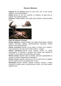 Resumo molusco, anelideo e equinodermas - Simone
