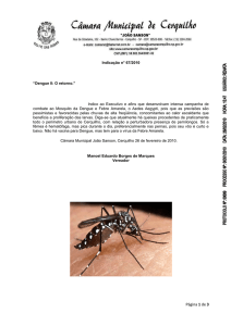 Indicação n° 67/2010 “Dengue II: O retorno.” Indico ao Executivo e