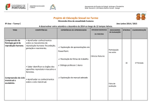 Planificação 2014-2015 Ficheiro - Moodle do Agrupamento Vertical