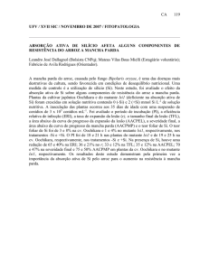 UFV / XVII SIC / NOVEMBRO DE 2007 / FITOPATOLOGIA