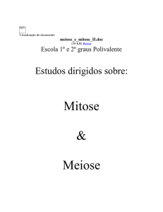 meiose_e_mitose_II - Biologia - samaraleticia