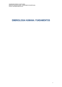 capítulo 8 – embriologia - bionline-ufsm