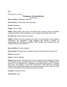 Paisagismo_(formatado) - Curso de Paisagismo - jarenios