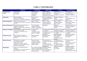 tabela vertebrados - Energia Barreiros
