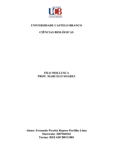 filo mollusca - Universidade Castelo Branco