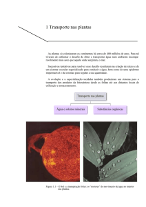 Capítulo 1 da Unidade 2 de Biologia 10