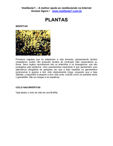 Plantas - Vestibular1