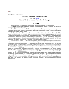 Nucleo, Mitose e Meiose (2) - Arquivos - sitiogaucho