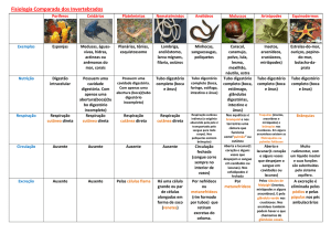 Fisiologia Comparada dos Invertebrados