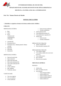 sistema circulatório