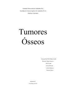 Tumores Ósseos - WordPress.com