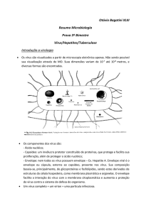 Otávio Bagatini XLIII Resumo Microbiologia Prova 3º Bimestre Vírus