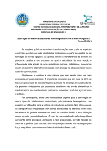 Bruna de Souza Goldani - Universidade Federal de Pelotas
