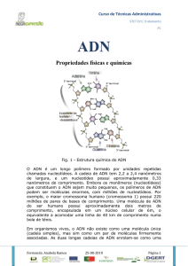 ADN_(8)anabela[1] - pradigital