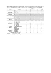 Tabela 4 Ambiental