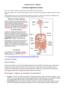 Principais órgãos do Sistema Circulatório
