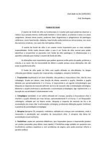 Aula dada no dia 16/03/2011 Prof. Rosângela. FUNDO DE OLHO O