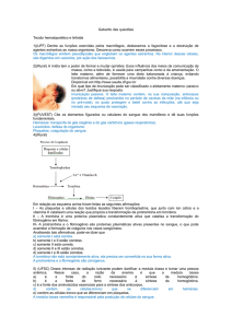 Gabarito das questões Tecido hematopoiético e linfoide 1)(UFF