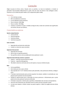 Características externas