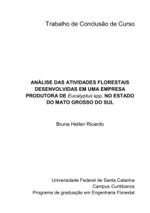 Programa de graduação em Engenharia Florestal